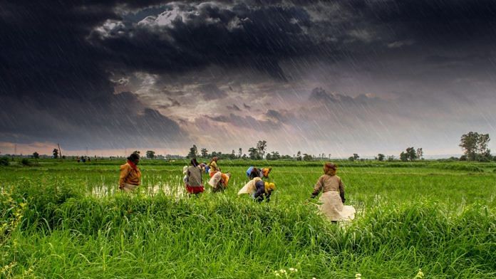 Representational image of Indian rural farm | Wikimedia commons