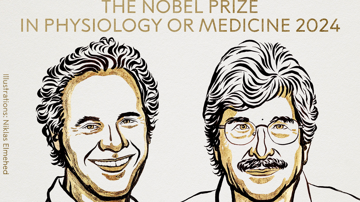 US biologists win Nobel in Medicine for microRNA discovery. Here’s how it prevents diseases like cancer