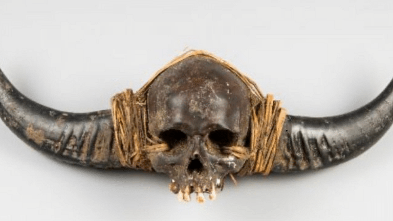 Naga collective calls UK auction of Naga human head ‘colonial violence’, urges repatriation of remains