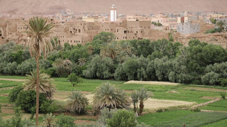 Africa was a central player in trade & culture. Ancient farming society tells the story