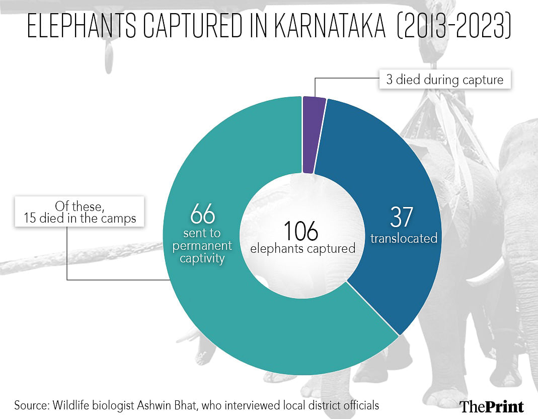 Number of elephants captured in Karnataka between 2013-2024