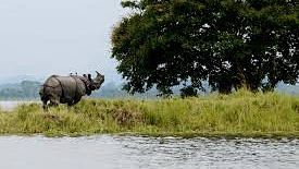 Kaziranga National Park | Wikimedia Commons