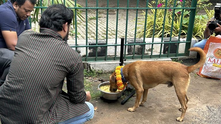 Bengaluru civic body, animal lovers, activists want you to worship the dogs, not fear them