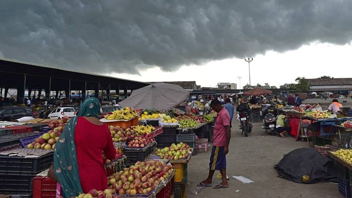 Representational image of a fruit and vegetable market | ANI