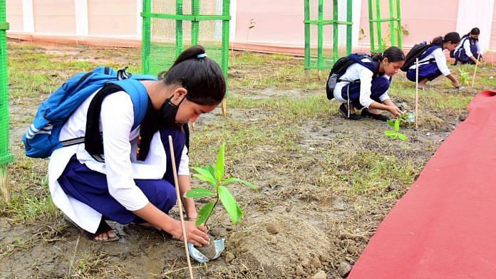 Government school students plant a sapling. | Representational image | ANI