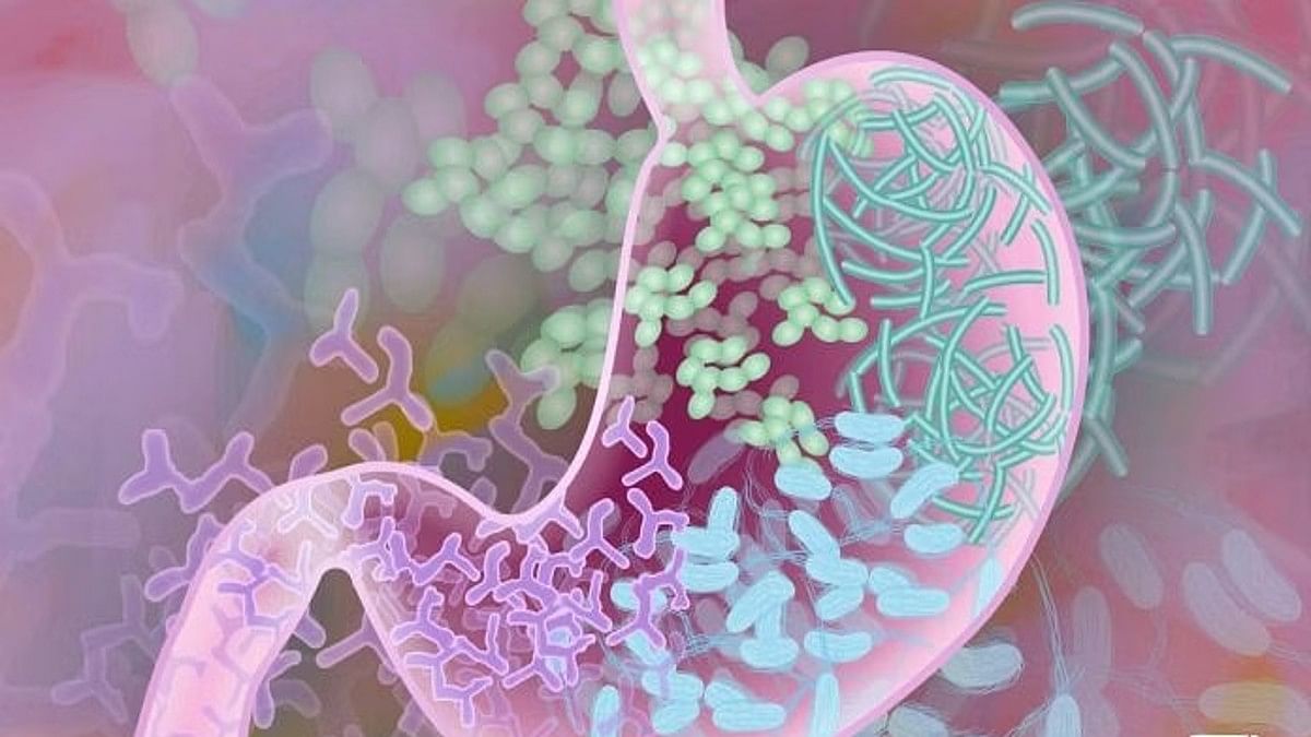 Burgeoning research points to how gut bugs are key link between diet & immunity – ThePrint – Select