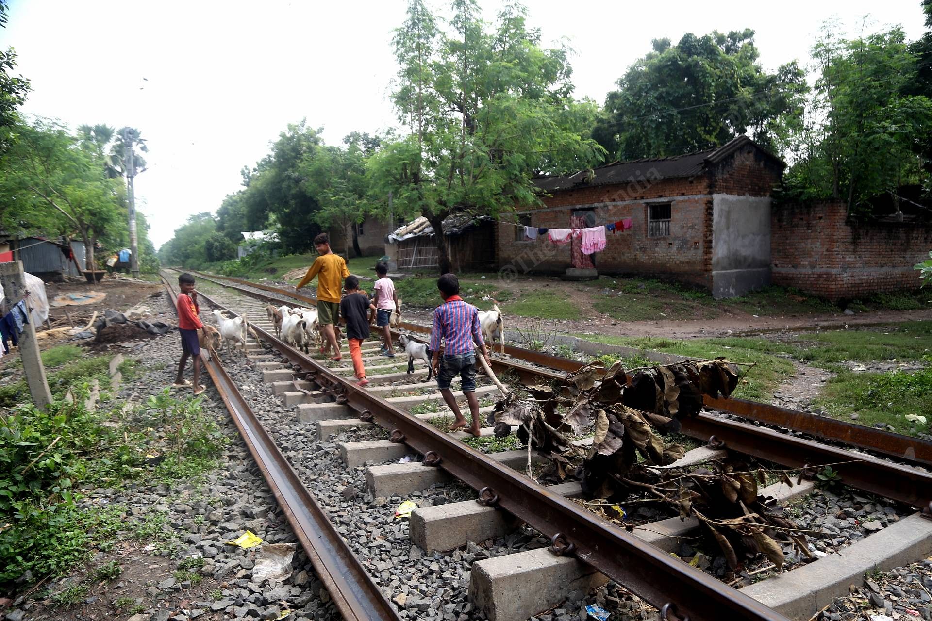  'Naya Basti', in Jharkhand's Rajmahal district | Suraj Singh Bisht | ThePrint