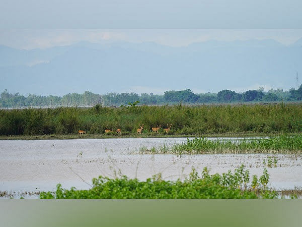 Bijnor Mahotsav: Celebrating a Ramsar Site & The Art of Living's Remarkable Role in Community-led Conservation