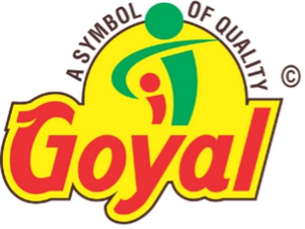 Goyal Salt Achieves Remarkable 286 Percent YoY Growth in Net Profit, Reaching INR 9 Cr in H1 FY25