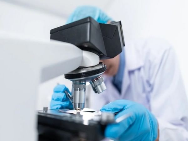 Brain stimulation effectiveness tied to learning ability, not age: Study Brain stimulation effectiveness tied to learning ability, not age: Study