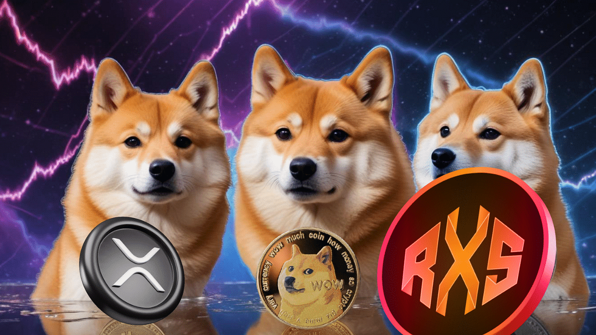 Ripple (XRP), Dogecoin (DOGE), Rexas Finance (RXS) Are Just Getting Started: Here's What to Expect in the Next 3 Months