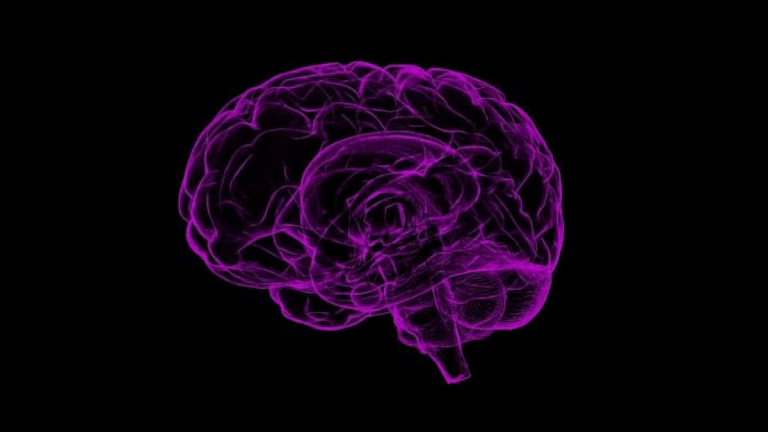 SubscriberWrites: The aging brain and breath