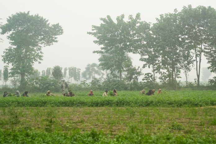 Pakistans_927.jpg