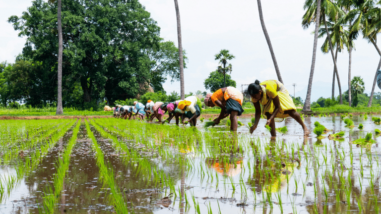 India is pivotal in closing climate finance gaps. Philanthropy is key