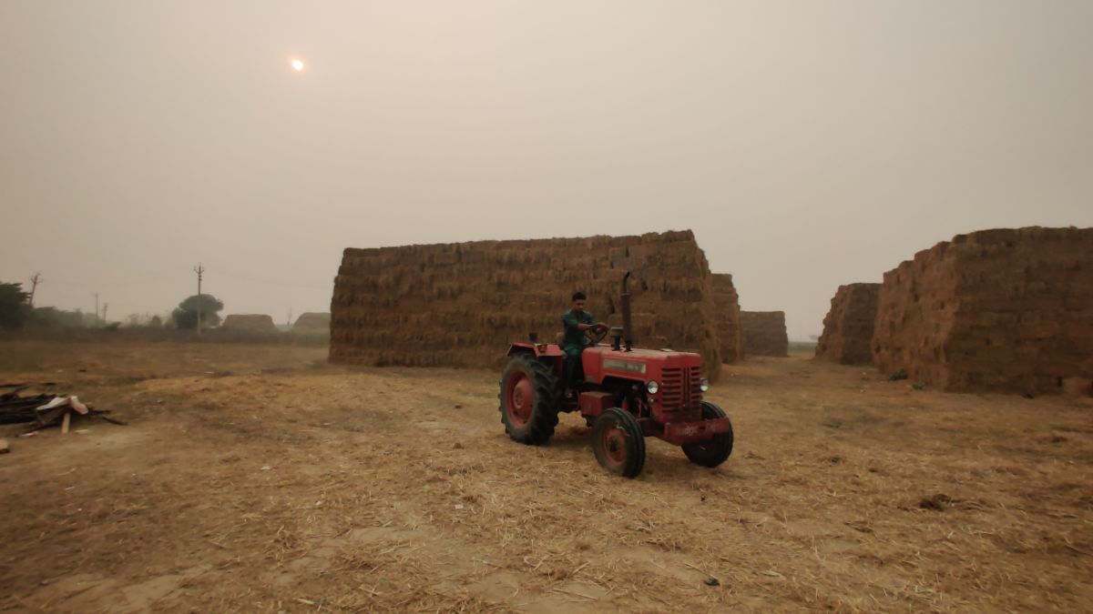 अमृतसर के पास बंजर ज़मीन पर पराली के ढेर | फोटो: शुभांगी मिश्रा/दिप्रिंट