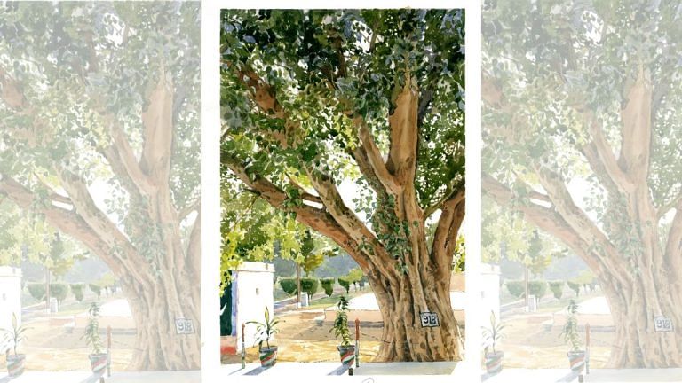 A tree on India-Pakistan border is a tourist magnet. It’s a Peepal that swallowed a pillar