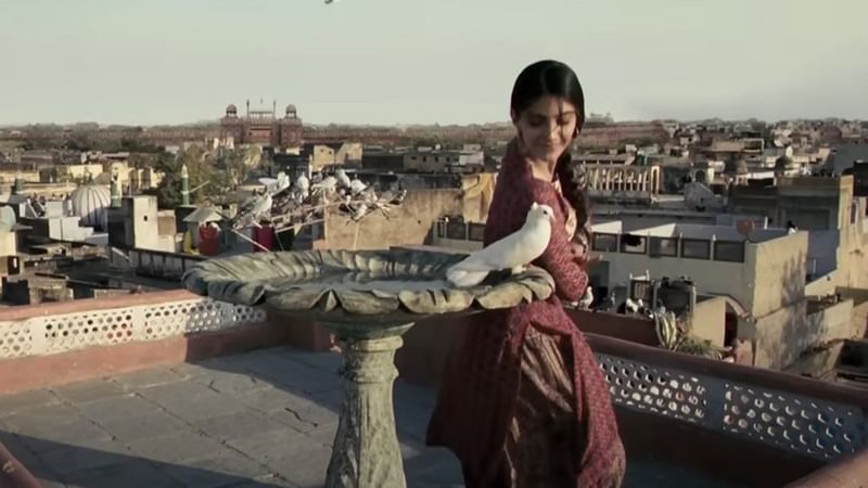 ‘दिल्ली-6’ के गाने मसाक्कली में सफेद कबूतर के साथ सोनम कपूर. बॉलीवुड की सनक को एक तरफ रखते हुए, विशेषज्ञ चेतावनी देते हैं कि कबूतर और उनकी बीट कई तरह के संक्रमण का कारण बन सकती है | यूट्यूब/स्क्रीनग्रैब