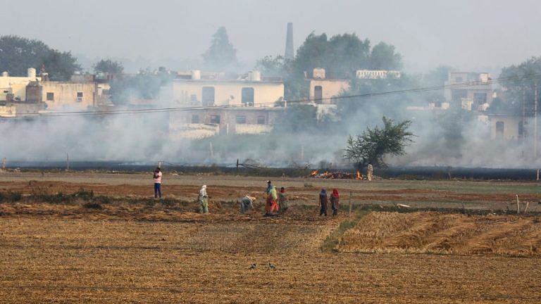 Haryana managed to divert farmers from stubble burning. Punjab must stop the freebies