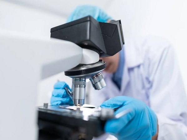 Study finds critical relationship between stem cells, mechanical signals