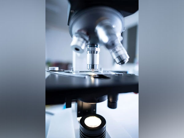 Study finds connection between quantum theory, information theory Study finds connection between quantum theory, information theory