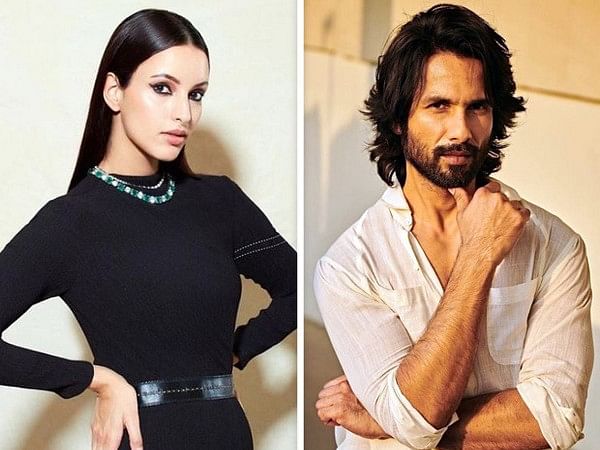 Shahid Kapoor, Triptii Dimri's film to be released in December 2025; Vishal Bhardwaj comes on board as director