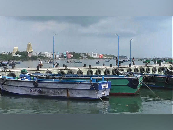 Tamil Nadu Cm Urges Jaishankar To Secure Release Of 17 Tn Fishermen 