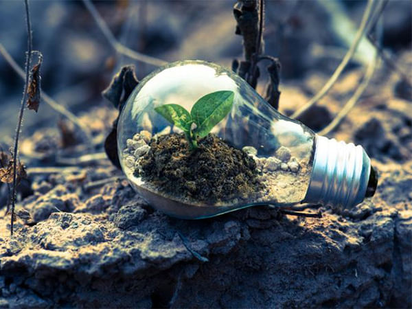 Outlook 2025: India's renewable sector strides unabated, industry leaders optimistic on future