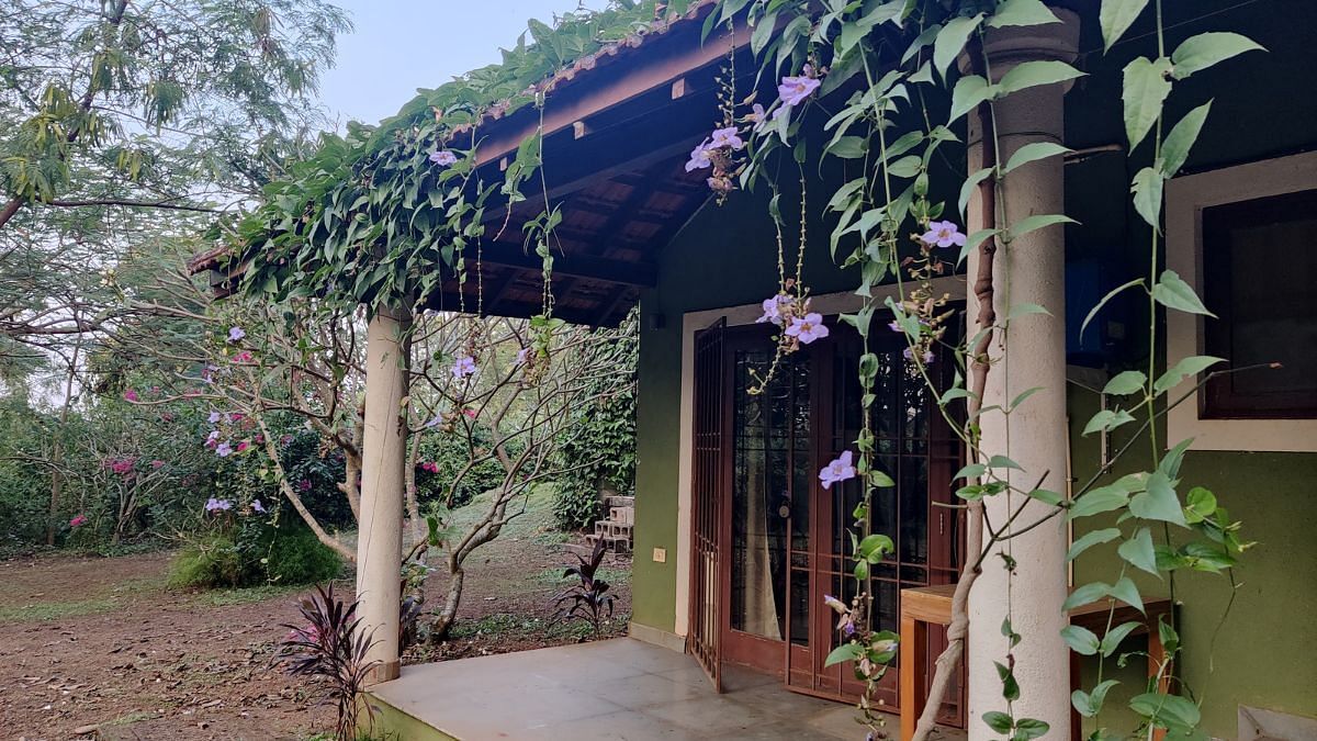 Kani Kustruti's house in Goa