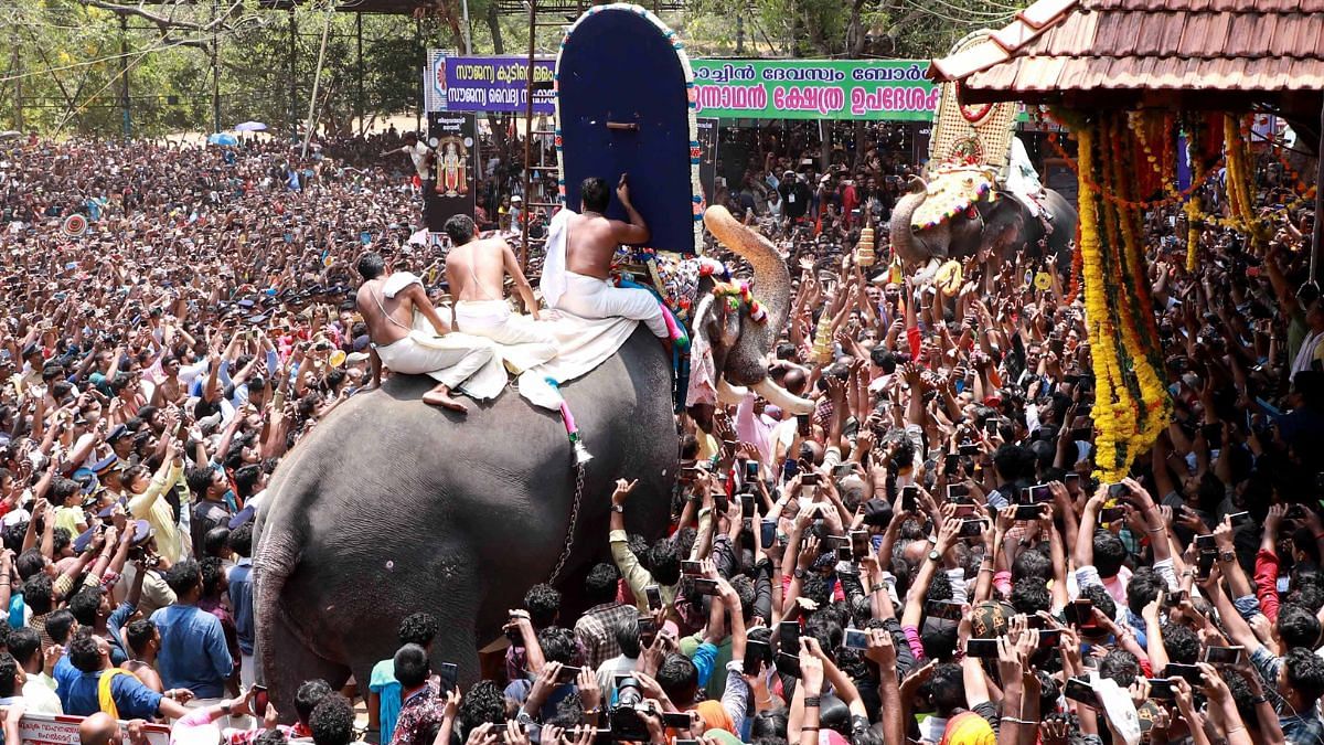 File photo of farewell ceremony of the two Goddess Thiruvambadi Bhagavathy and Paramekkavu Bhagavathy in front of Vadakkumnadha Temple in connection with Thrissur Pooram | ANI
