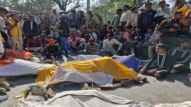 Protesters block road after cow carcasses found in forest near Mathura, cops resort to lathi-charge