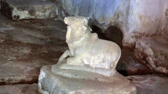 Statue of Nandi is seen at a temple in Sambhal that has been reopened after 42 years, in Sambhal on Saturday | ANI