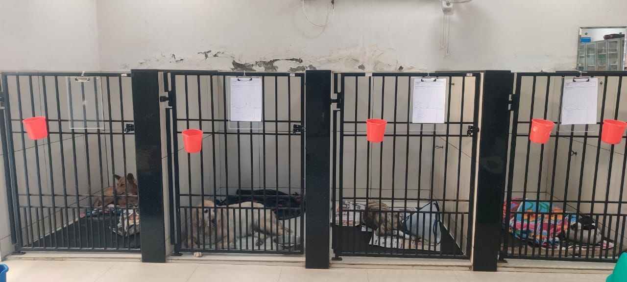 Inpatient ward at Cessna Veterinary Hospital, Gurugram | Mrinalini Dhyani | ThePrint