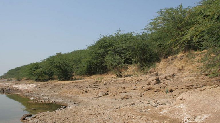 Daimabad was home to skilled agriculturalists—even before Harappans’ cultural influence