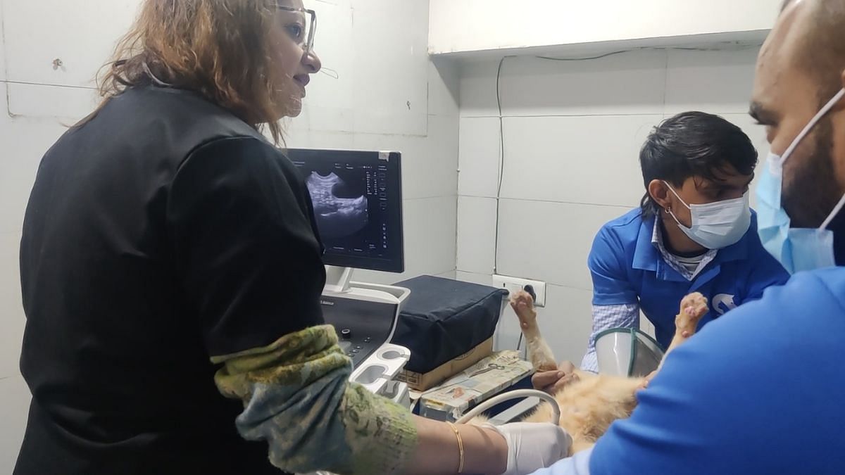 Dr Shally Mattoo Jalali of SJ’s Pet Care and Clinic in Gurugram | Mrinalini Dhyani | ThePrint