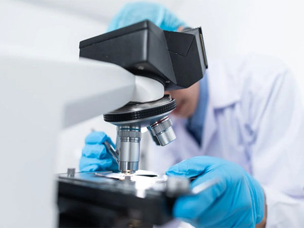 Herpes virus likely to have have connection with Alzheimer's: Study