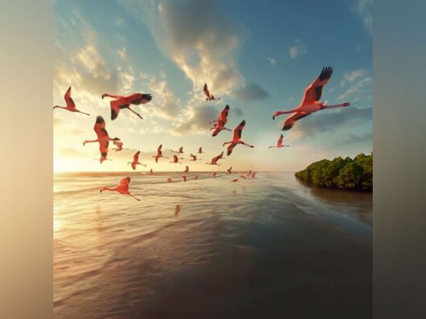 Navi Mumbai Welcomes A New Palm Beach