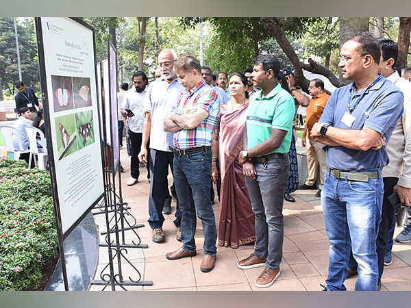 Where Wings Whisper Hope: Mumbai Unites for Butterfly Conservation Where Wings Whisper Hope: Mumbai Unites for Butterfly Conservation
