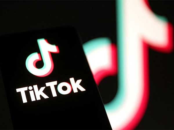 TikTok goes offline in US ahead of ban, company pins hopes on 'potential reinstatement' under Trump