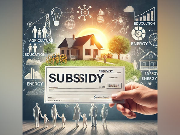 Government's subsidy burden likely to rise to Rs 4.2 lakh crore exceeding budget estimates in FY25: BoB report