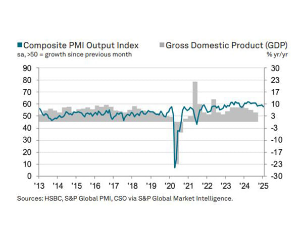 2025 begins with India's private sector growth slowing and services losing steam: HSBC flash PMI