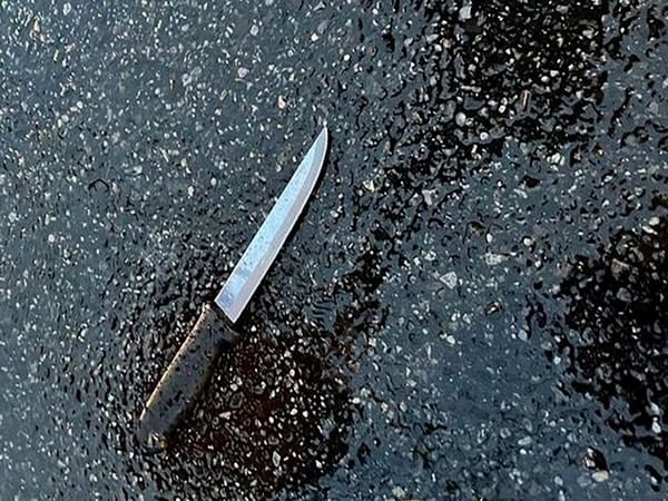 Chinese man who stabbed Japanese woman, child sentenced to death Chinese man who stabbed Japanese woman, child sentenced to death