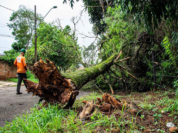 Natural disasters, climate change have long-term impact on state finances: IIT Bombay