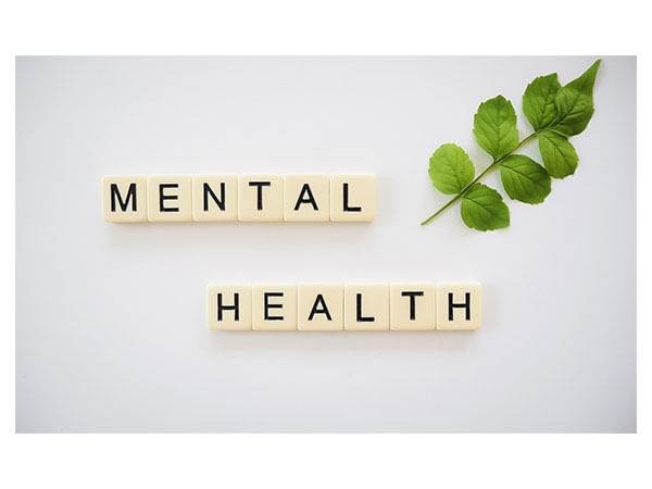 Eco survey asks to prioritise mental health and gender inclusive labour laws