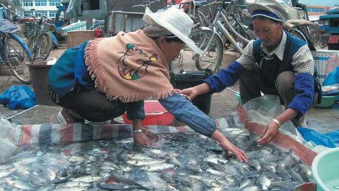 Representational image of a Chinese fishmarket | Flickr