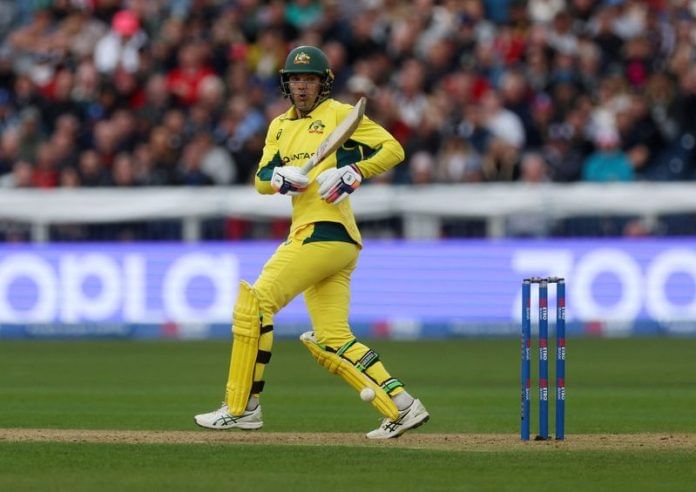 Cricket-Carey_252.jpg