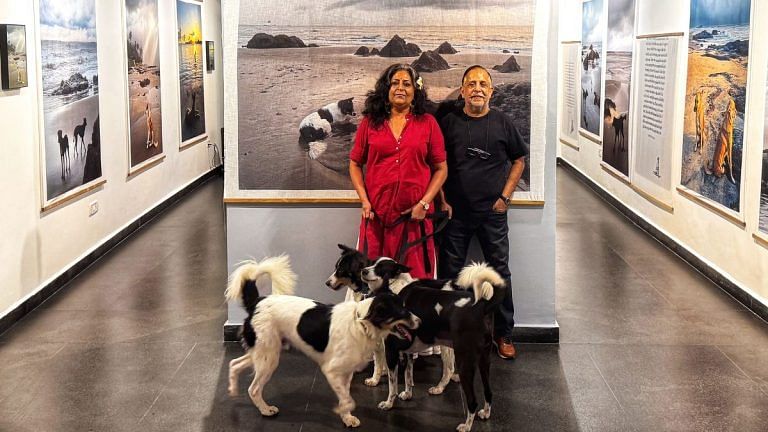 Dogs on Goa beach. A new exhibition asks a question about who belongs and who’s adrift
