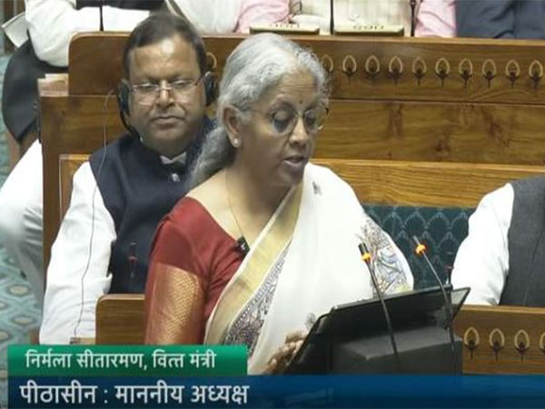 Budget 2025: FM proposes ID cards for gig workers, UPI-linked credit cards for street vendors