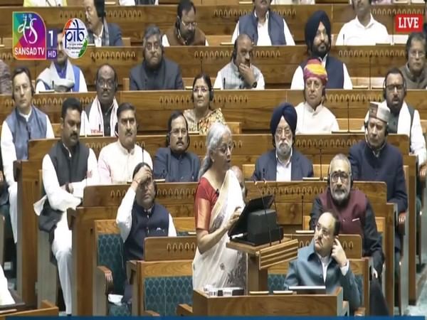 Budget 2025: Here's what all will get cheaper and costlier as FM rejigs basic customs duties