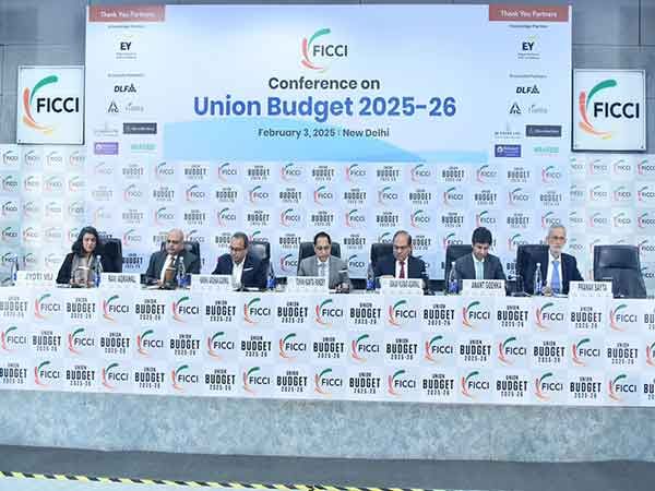 Budget 2025 prioritises non-inflationary growth: Finance secretary
