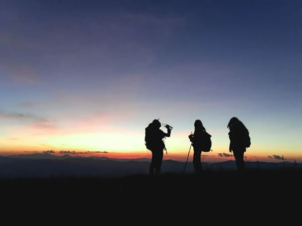 India's tourism industry's unprecedented growth boosting investor confidence: Report